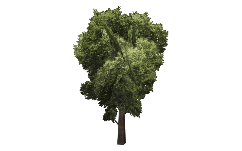 veg_treea3, GTA San Andreas object ID 618