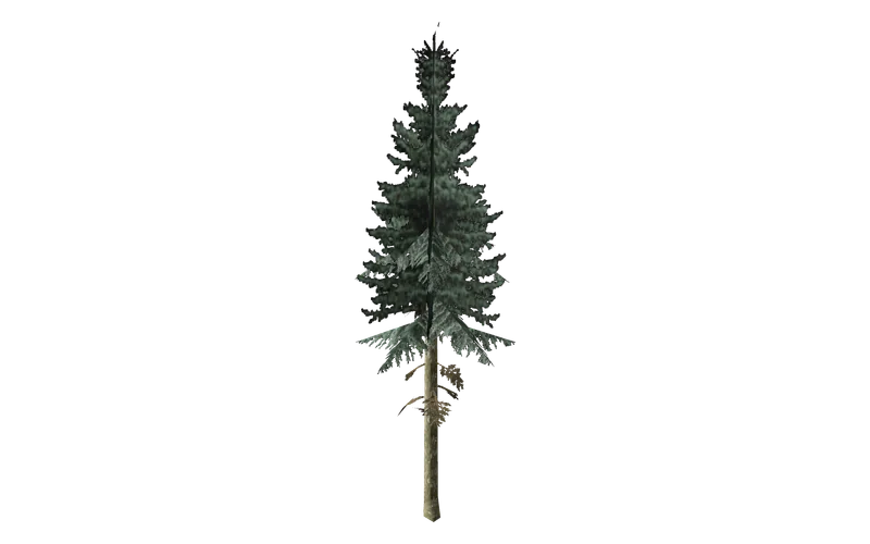 sm_fir_, GTA San Andreas object ID 687