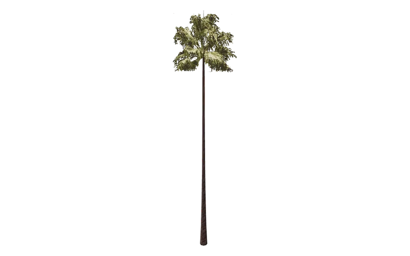 sjmpalmtall, GTA San Andreas object ID 739