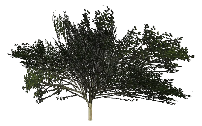 Elmsparse_hi, GTA San Andreas object ID 774