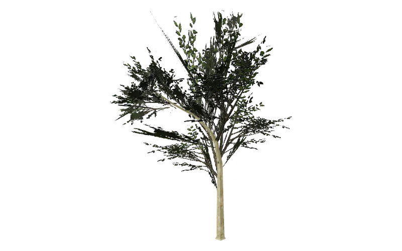 Elmwee_hism, GTA San Andreas object ID 781