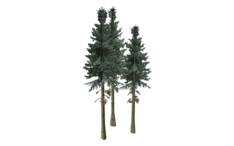sm_fir_tallgroup, GTA San Andreas object ID 790
