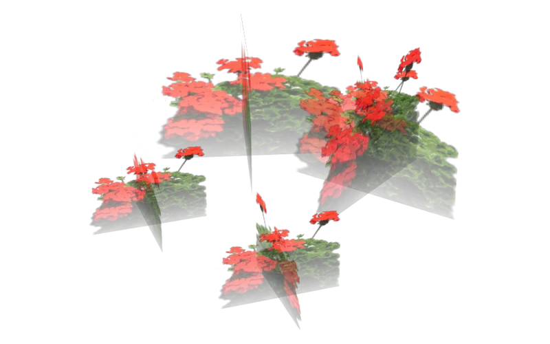 veg_Pflowers02, GTA San Andreas object ID 878