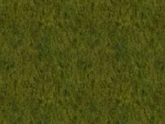 CITy texture number 23