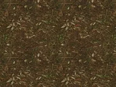 CITy texture number 24