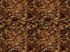 CITy texture number 40