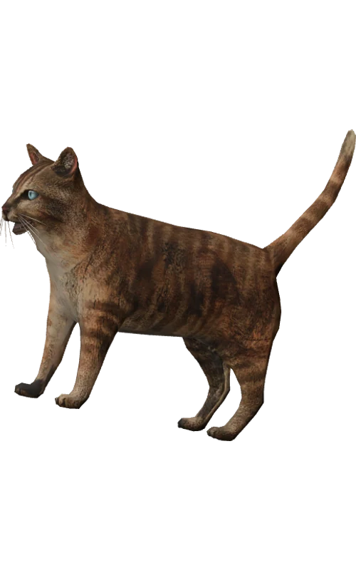 CIT skin 1095