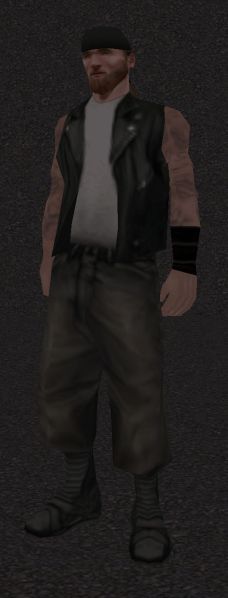 File:ID 247.jpg