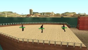 Turfing fight in an open area